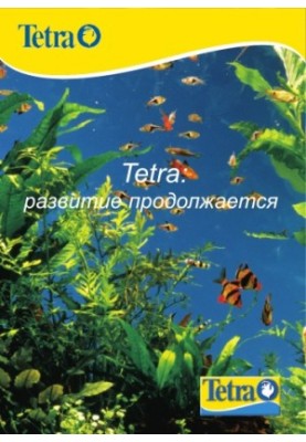 Розвиток триває