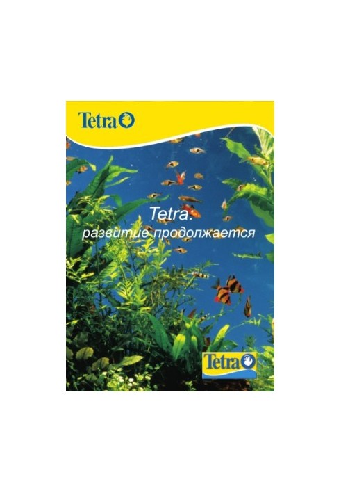 Розвиток триває