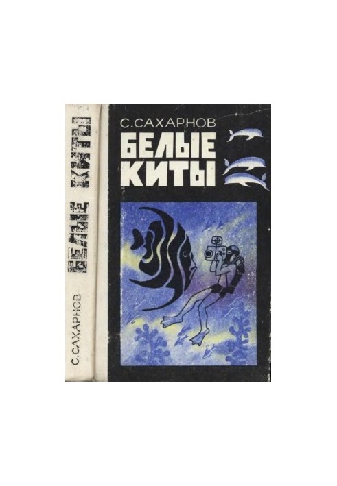 White whales. Travels and adventures. Tales
