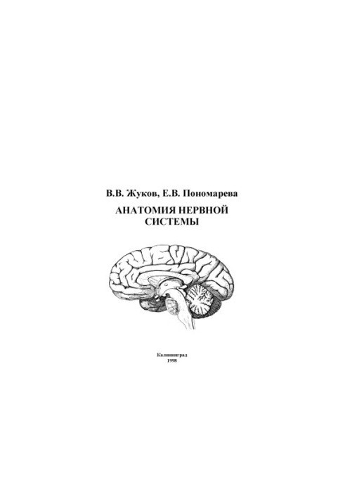 Anatomy of the nervous system.