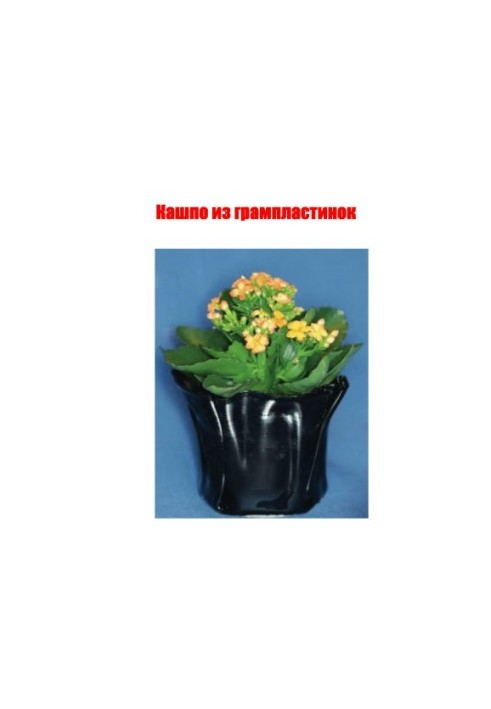 Cashpo from gramophone records