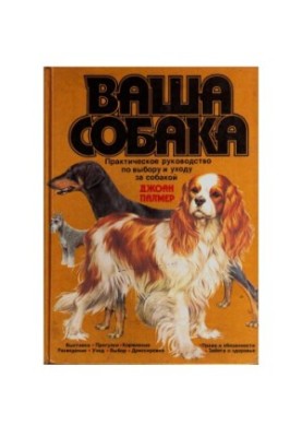 Your Dog: A Practical Guide to Choosing and Taking Care of Your Dog