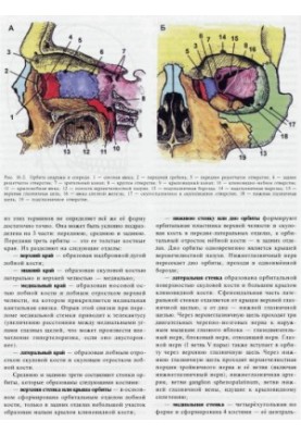 Clinical Manual of Traumatic Brain Injury - Volume 3, Part 2