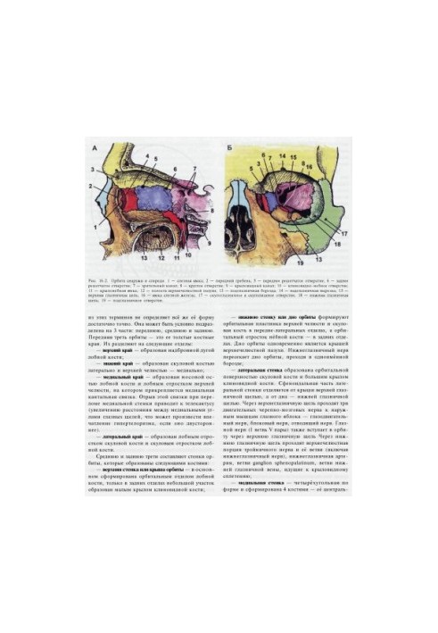Clinical Manual of Traumatic Brain Injury - Volume 3, Part 2