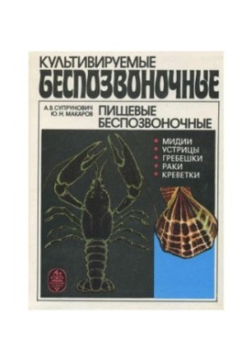 Культивовані безхребетні. Їстівні безхребетні: мідії, устриці, гребінці, раки, креветки