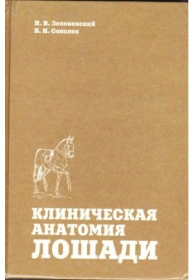 Clinical Anatomy of Horses