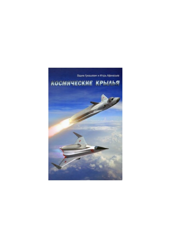 Space Wings
