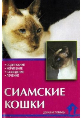 Siamese cats.