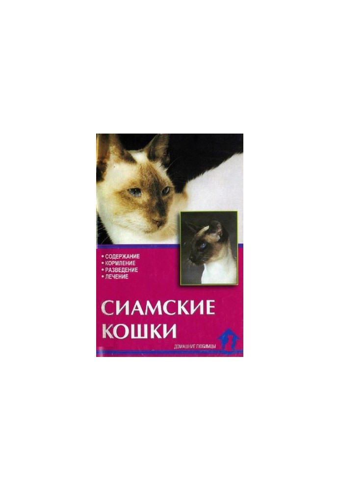 Siamese cats.