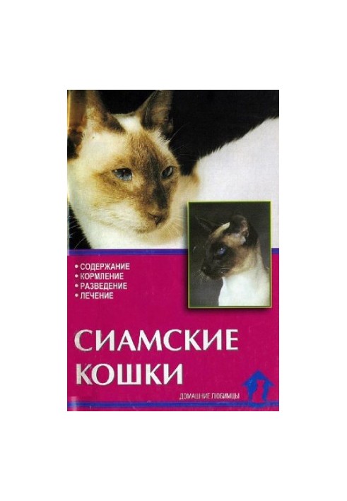 Siamese cats.