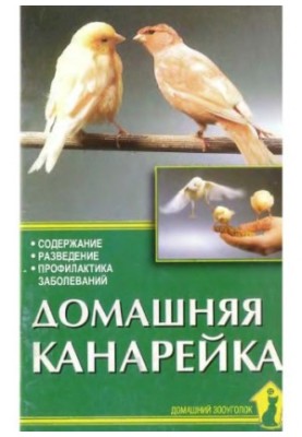 A home canary.