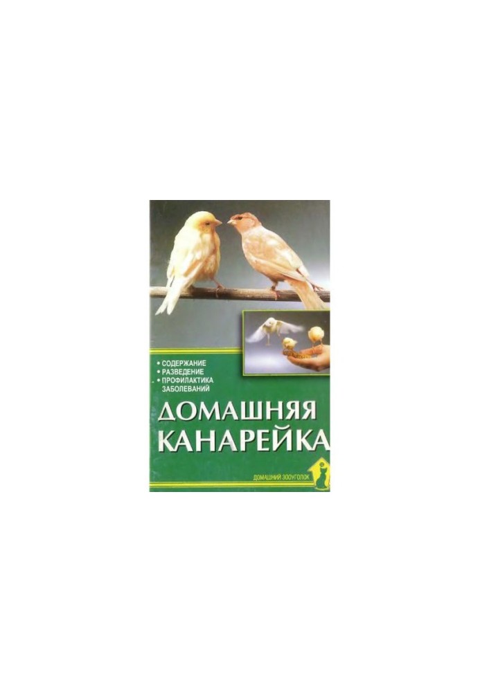 A home canary.