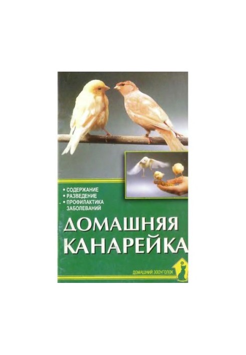 A home canary.