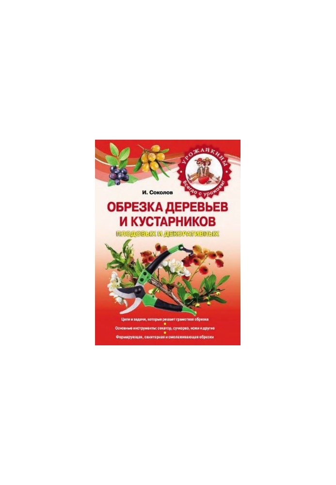Обрезка деревьев и кустарников плодовых и декоративных [цели и задачи, которые решает грамотная обрезка, основные инструменты