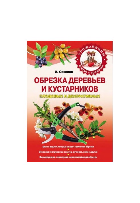 Обрезка деревьев и кустарников плодовых и декоративных [цели и задачи, которые решает грамотная обрезка, основные инструменты