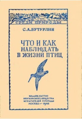 Что и как наблюдать в жизни птиц