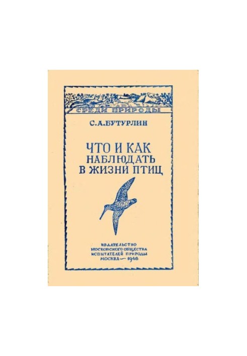 Что и как наблюдать в жизни птиц