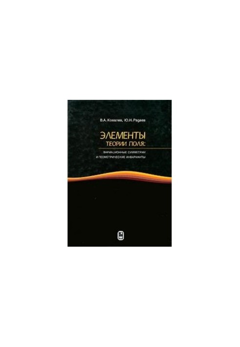 Elements of field theory: variational symmetries and geometric invariants