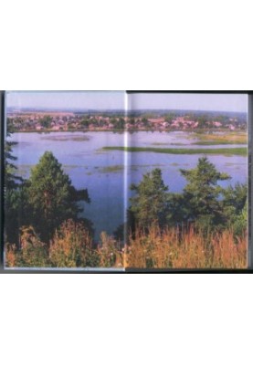 Natural resources of the Komi-Permyak Autonomous Okrug: [monograph]