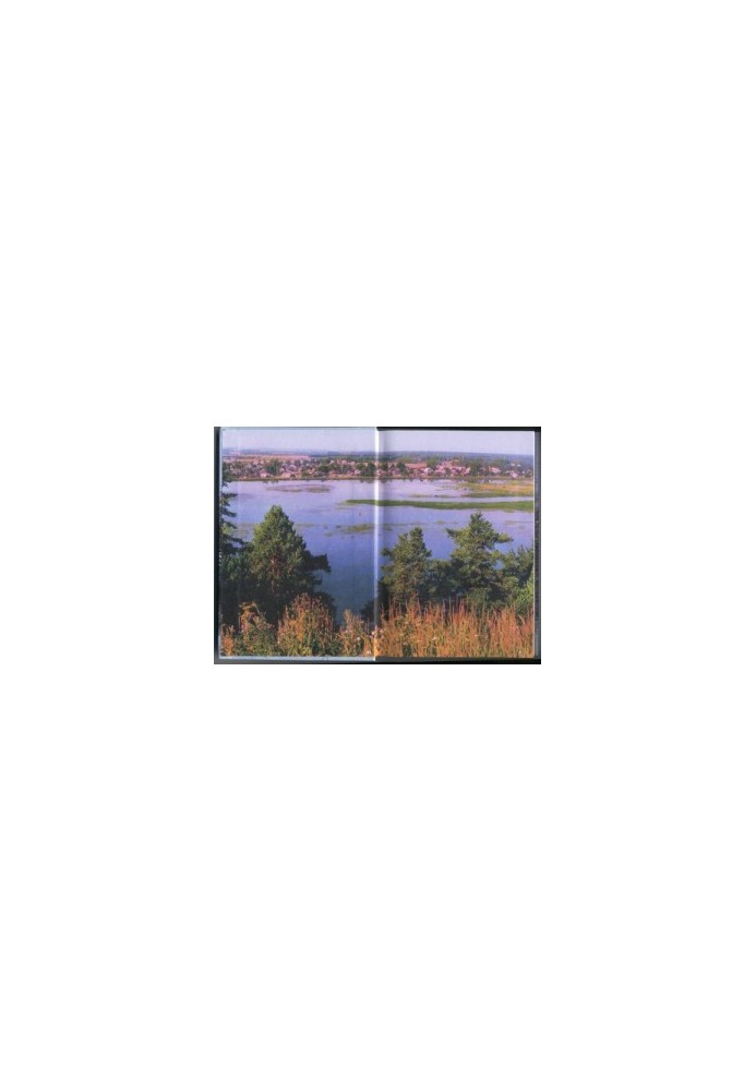 Natural resources of the Komi-Permyak Autonomous Okrug: [monograph]
