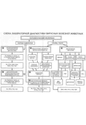 Workshop on veterinary virology educational manual for universities