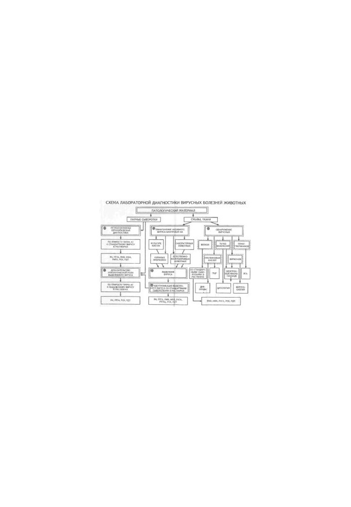 Workshop on veterinary virology educational manual for universities