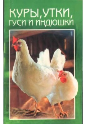 Кури, гуси, качки та індики