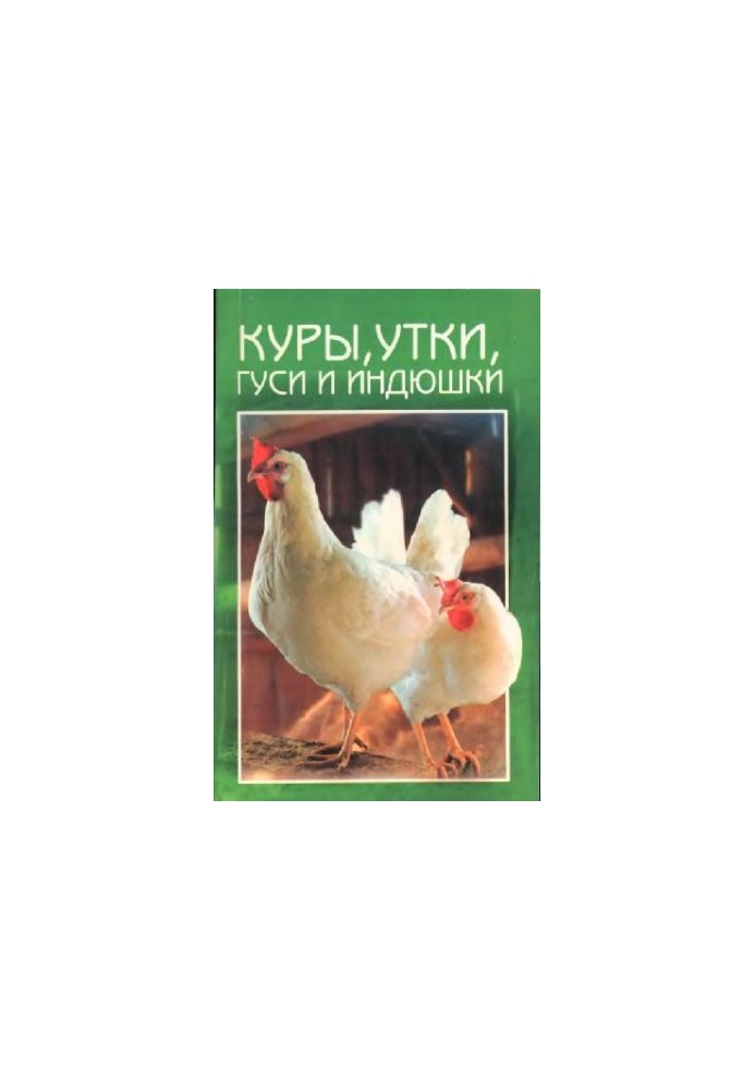 Кури, гуси, качки та індики