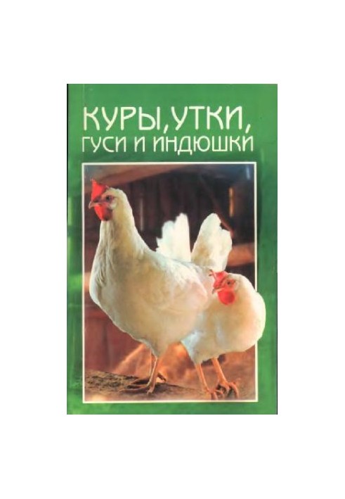 Кури, гуси, качки та індики