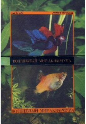 Чарівний світ акваріума