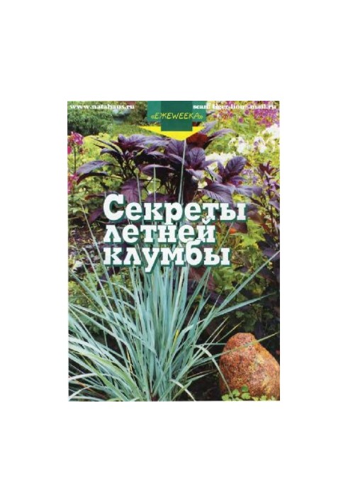 Секрети літнього квітника