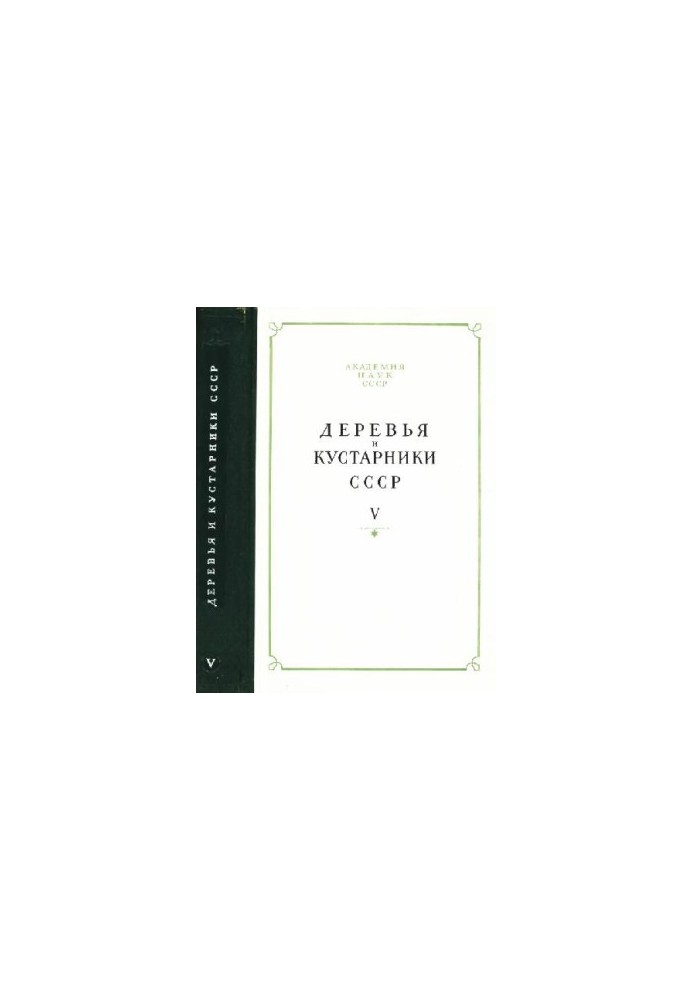 Деревья и кустарники СССР. Дикорастущие, культивируемые и перспективные для интродукции