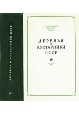 Деревья и кустарники СССР. Дикорастущие, культивируемые и перспективные для интродукции