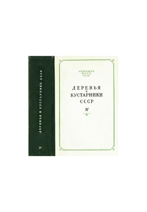 Деревья и кустарники СССР. Дикорастущие, культивируемые и перспективные для интродукции