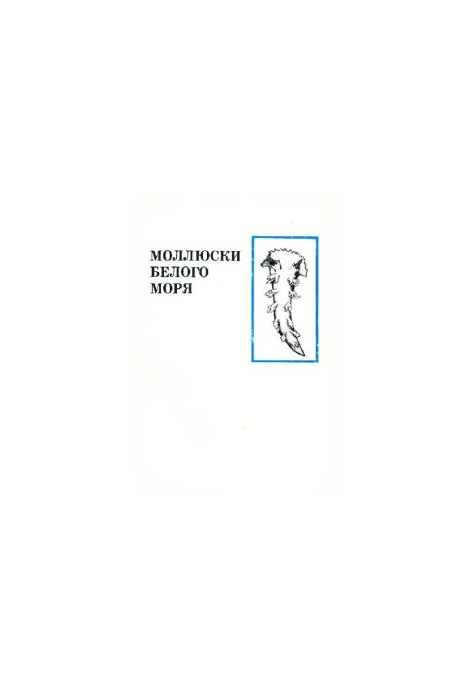 Mollusks of the White Sea