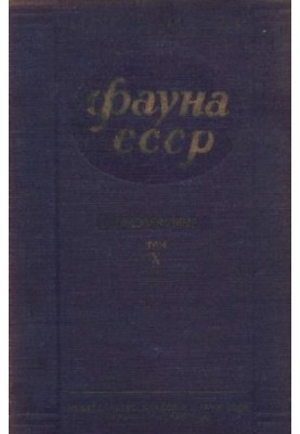 Аномури