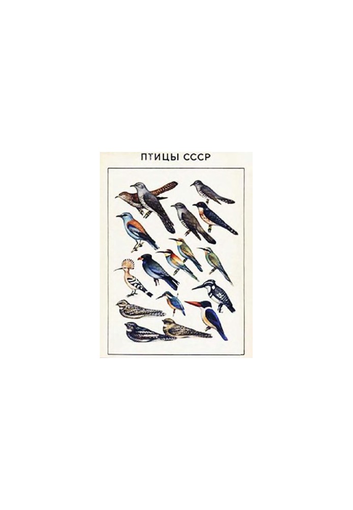 Birds of the USSR