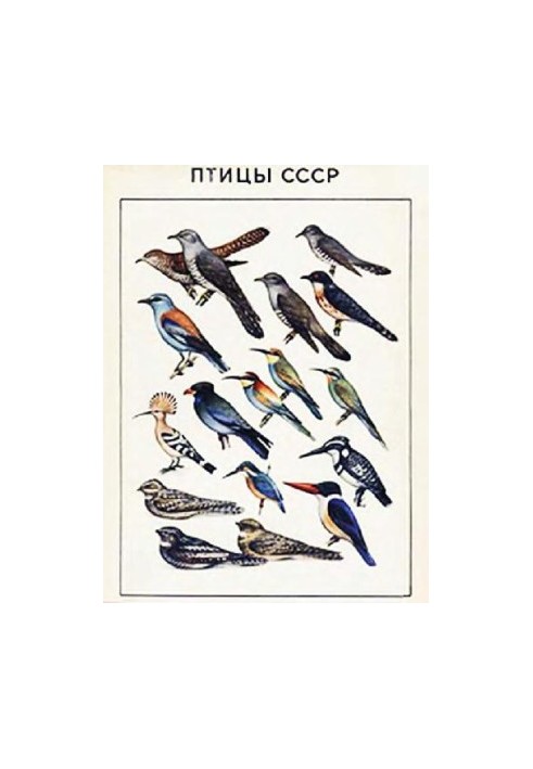 Birds of the USSR