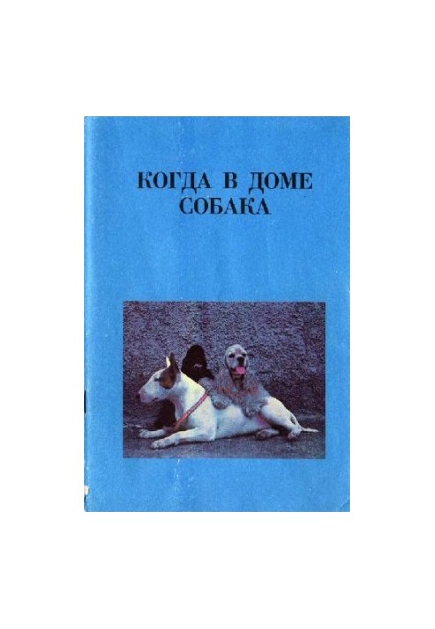 Коли собака в домі