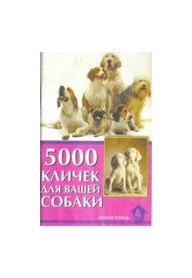 5001 ім'я для вашої собаки