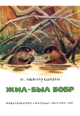 Жив-був бобер