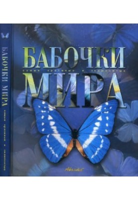 Butterflies of the world. The most beautiful and famous
