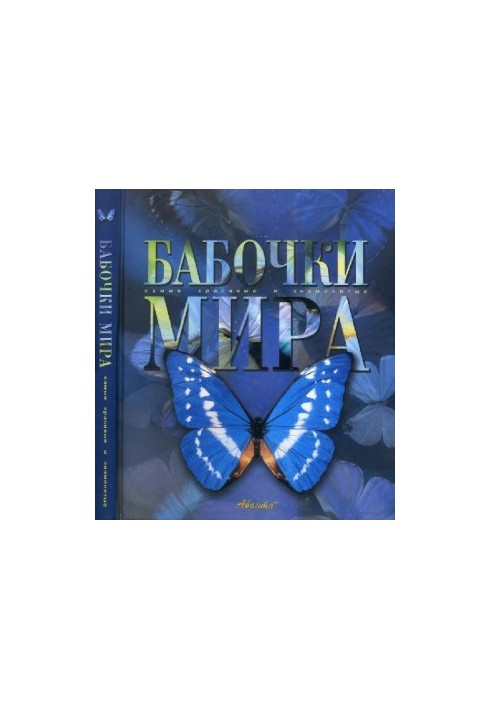 Butterflies of the world. The most beautiful and famous