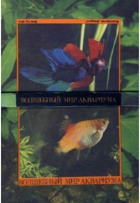 Чарівний світ акваріума