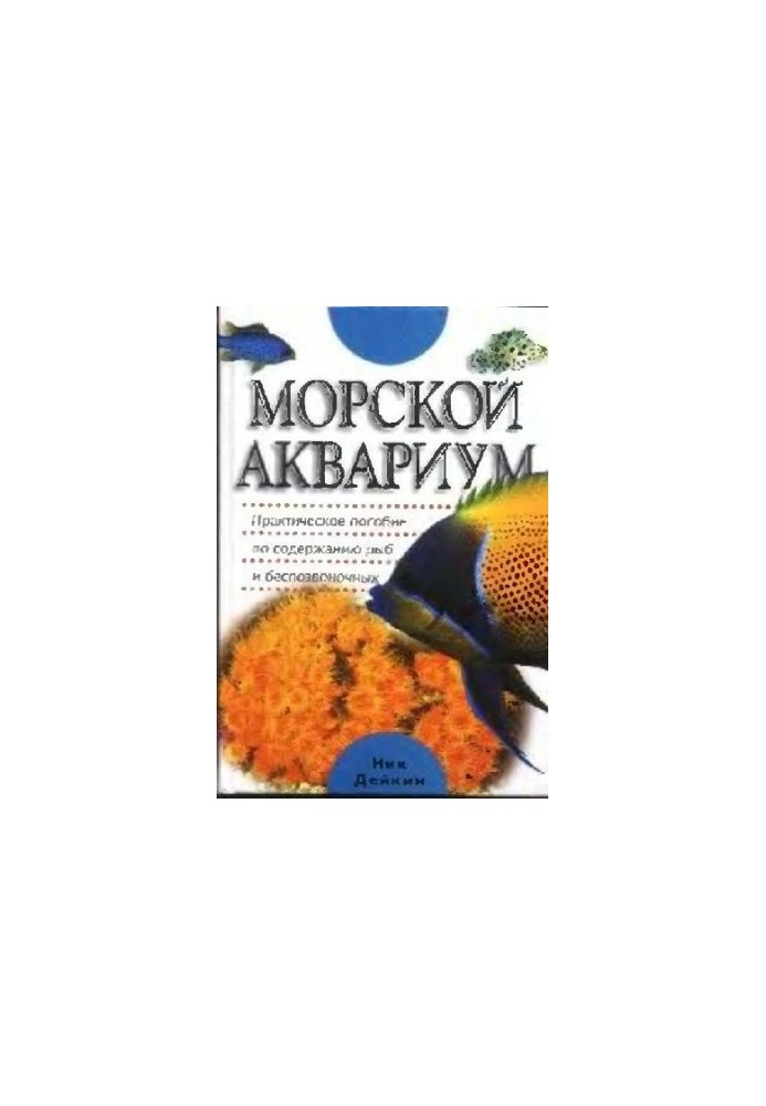 Морський акваріум - Міжнародні відносини