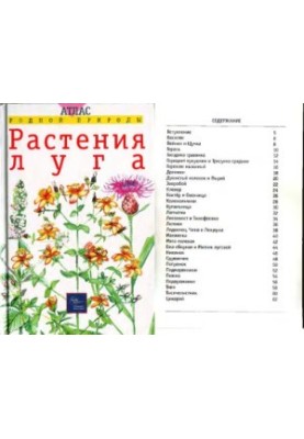 Grassland plants