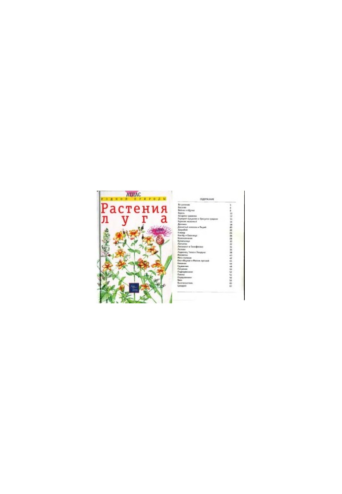 Grassland plants