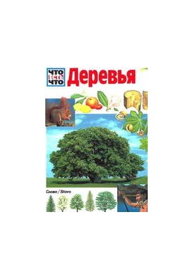 Дерева