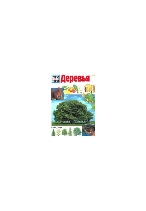 Дерева
