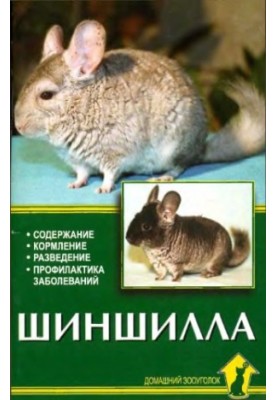 Шиншилла